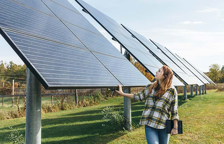 Woman examining solar energy panels.